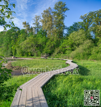 Plank floor of the walkway in Rocky Point, Port Moody, Vancouver, Canada