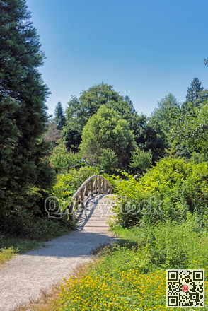 Pathway in a park to the wooden decorative bridge over a creek