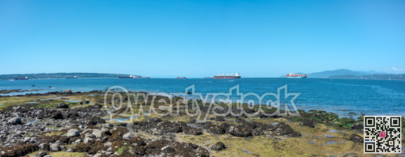 Cargo vessels anchored on roadstead in Burrard inlet